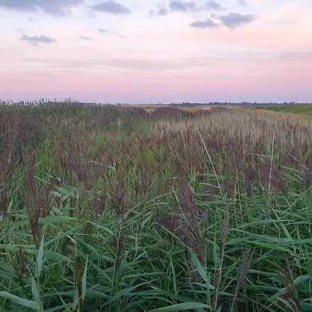 Vakantiehuis 8 Person In Haderslev-by Traum *